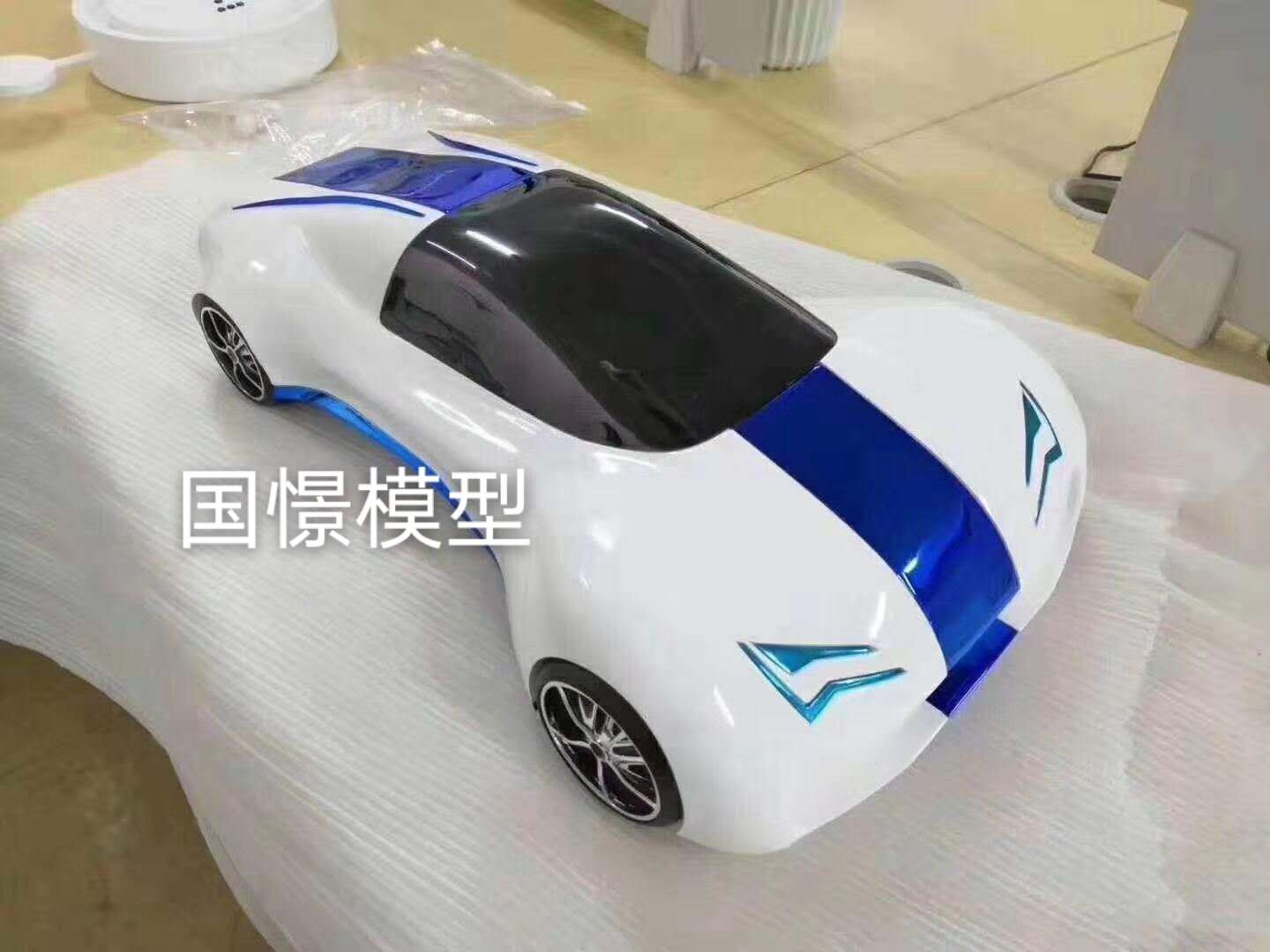 云龙县车辆模型