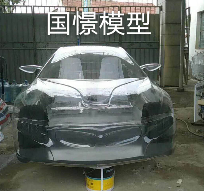 云龙县透明车模型